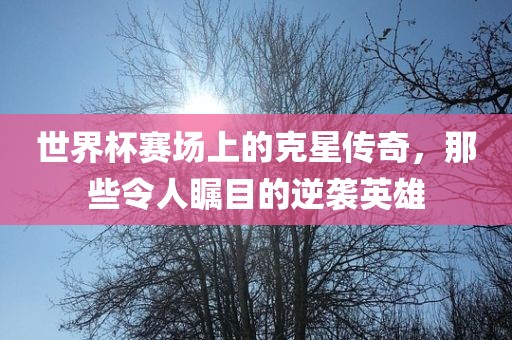 世界杯赛场上的克星传奇，那些令人瞩目的逆袭英雄洪湖市顺升工程机械租赁有限公司