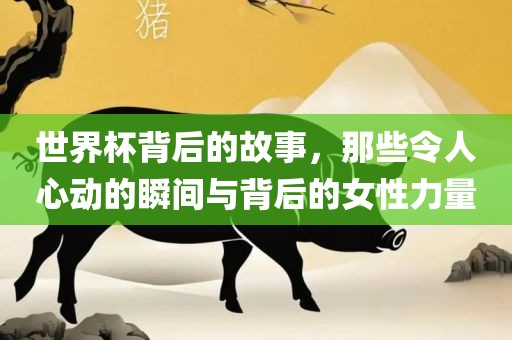 世界杯背后的故事，那些令人心动的瞬间与背后的女性力量