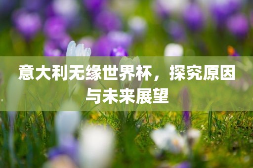 意大利无缘世界杯，探究原因洪湖市顺升工程机械租赁有限公司与未来展望