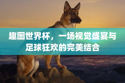 趣图世界杯，一场视觉盛宴与足球狂欢的完美结合洪湖市顺升工程机械租赁有限公司