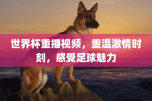 世界杯重播视频，重温洪湖市顺升工程机械租赁有限公司激情时刻，感受足球魅力