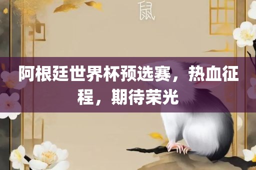 阿根廷世界杯预选赛，热血征程，期待荣光