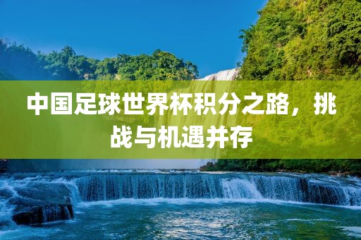 中国足球世界杯积分之路，挑战与机遇并存洪湖市顺升工程机械租赁有限公司