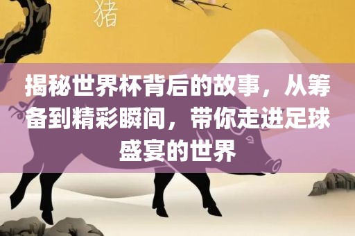 揭秘世界杯背后的故事，从筹备到精彩瞬间，带你走进足球盛宴的世界