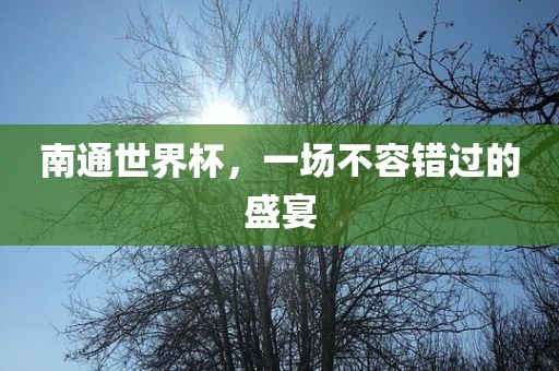 南通世界杯，一洪湖市顺升工程机械租赁有限公司场不容错过的盛宴