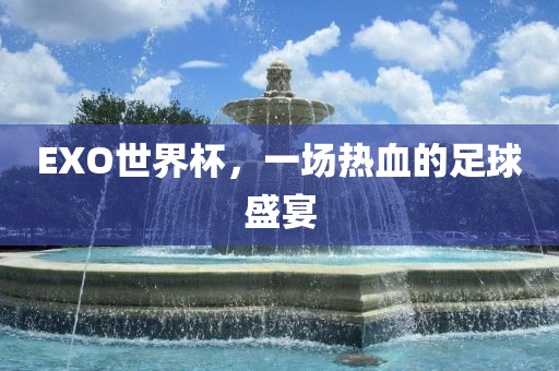 足球盛宴 第13页