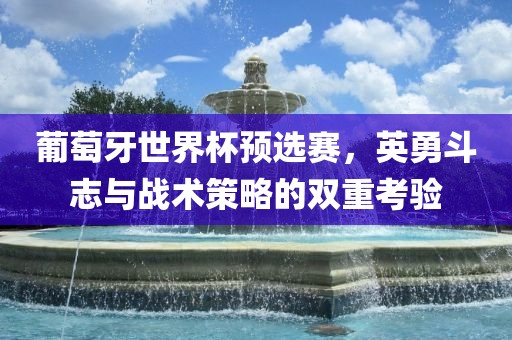 葡萄牙世界杯预选赛，英勇斗志与战术策略的双重考验洪湖市顺升工程机械租赁有限公司
