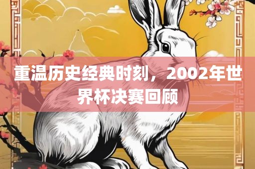 重温历史经典时刻，2002年世界杯决赛回顾洪湖市顺升工程机械租赁有限公司