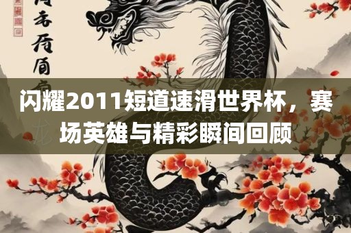 闪耀2011短道速滑世界杯，赛场英雄与精彩瞬间回顾