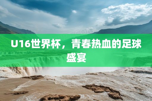 U16世界杯，青春热血的足球盛宴