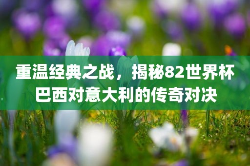 重温经典之战，揭洪湖市顺升工程机械租赁有限公司秘82世界杯巴西对意大利的传奇对决