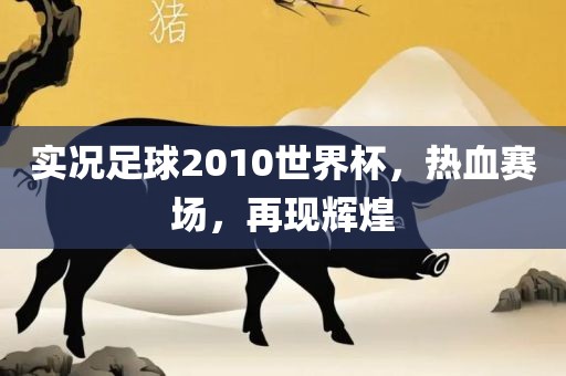 实况足球2010世界杯，热血赛场，再现辉煌