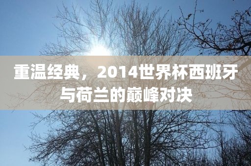 重温经典，2014世界杯西班牙与荷兰的巅峰洪湖市顺升工程机械租赁有限公司对决