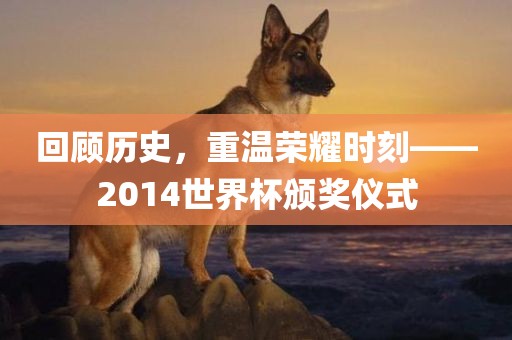 回顾历史，重温荣耀时刻——2014世界杯颁奖仪式