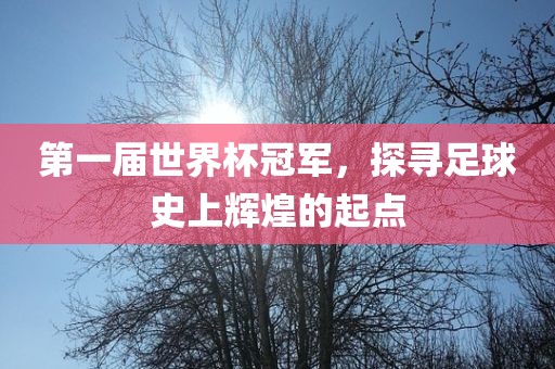 第一届世界杯冠军，探寻足球史上辉煌的起点洪湖市顺升工程机械租赁有限公司