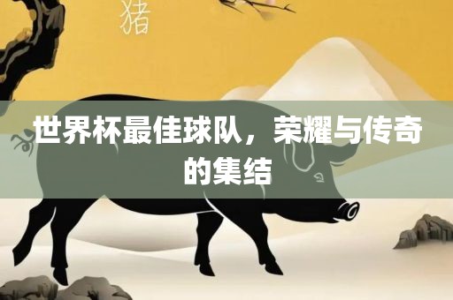 世界杯最佳球队，荣耀与传奇的集结