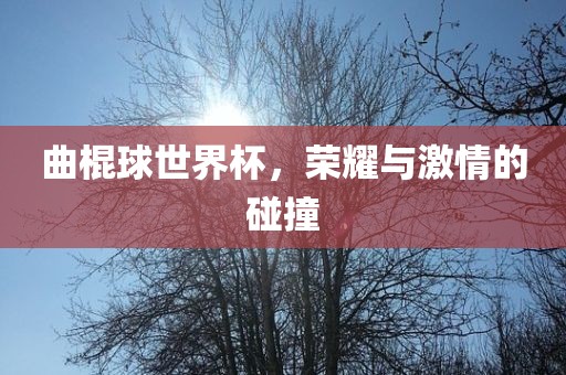 曲棍球世界杯，荣耀与激情的碰撞