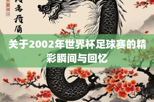 关于2002年世界杯足球赛的精彩瞬间与回忆