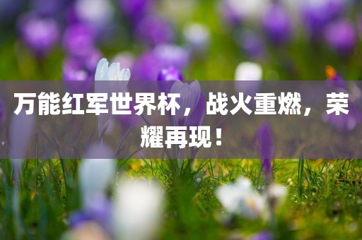 万能红军世界杯，战火重燃，荣耀再现！洪湖市顺升工程机械租赁有限公司