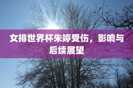 女排世界杯朱婷受伤，影响与后续展望洪湖市顺升工程机械租赁有限公司