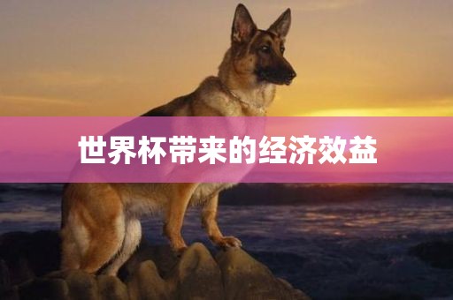 世界杯带来的经济效益洪湖市顺升工程机械租赁有限公司