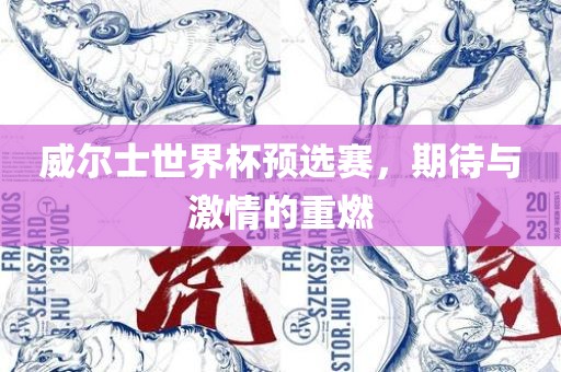 威尔士世界杯预选赛，期待与激情的重燃