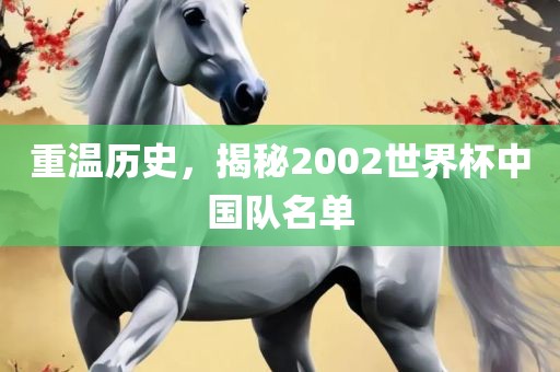 重温历史，揭秘2002世界杯中国队名单