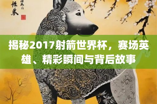揭秘2017射箭世界杯，赛场英雄、精彩瞬间与背后故事