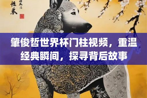 肇俊哲世界杯门柱视频，重温经典瞬间，探寻背后故事