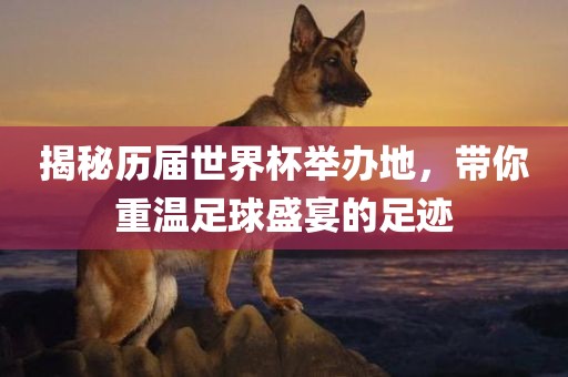 揭秘历届世界洪湖市顺升工程机械租赁有限公司杯举办地，带你重温足球盛宴的足迹