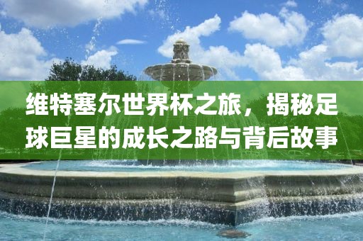 维特塞尔世界杯之旅，揭秘足球巨星的成长之路与背后故事洪湖市顺升工程机械租赁有限公司