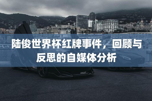 陆俊世界杯红牌事件洪湖市顺升工程机械租赁有限公司，回顾与反思的自媒体分析