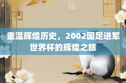 重温辉煌历史，2002国足进军世界杯的辉煌之旅洪湖市顺升工程机械租赁有限公司