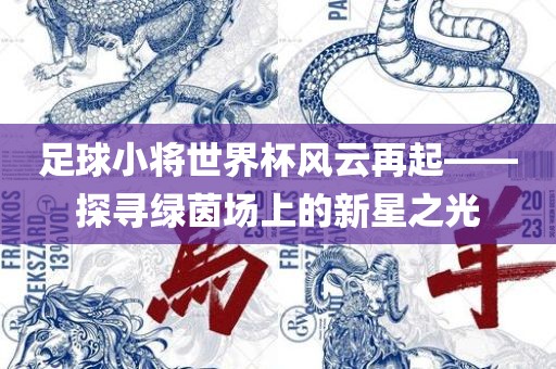 足球小将世界杯风云再起——探寻绿茵场上的新星之光