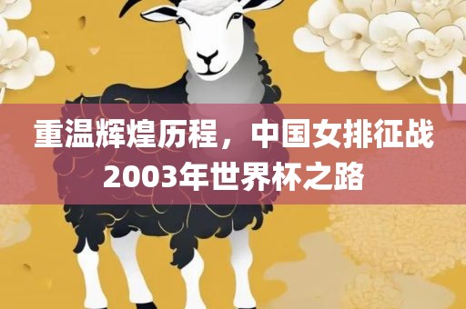 重温辉煌历程，中国女排征战2003年世界杯之路