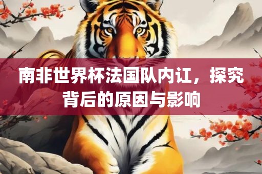 南非世界杯法国队内讧，探究背后的原因与影响洪湖市顺升工程机械租赁有限公司