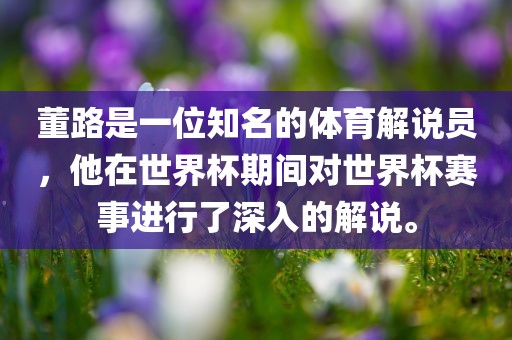 董路是一位知名的体育解说员，他在世界杯期间对世界杯赛事进行了深入的解说。洪湖市顺升工程机械租赁有限公司