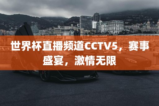 世界杯直播频道CCTV5，赛事盛宴，激情无限