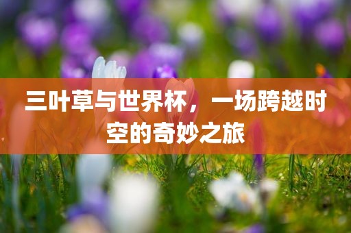 三叶草与世界杯，一场跨越时空的奇妙之旅