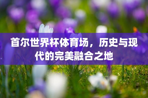 首尔世界杯体育场，历史与现代的完美融合之地