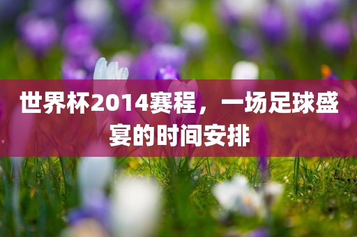 世界杯2014赛程，一场足球盛宴的时间安排