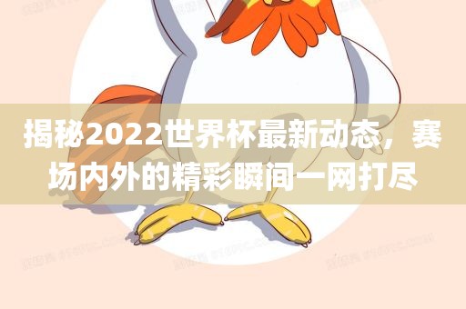 揭秘2022世界杯最新动态，赛场内外的精彩瞬间一网打尽