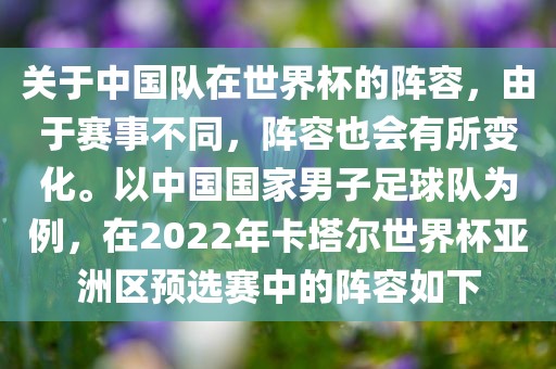 关于中国队在世界杯的阵容洪湖市顺升工程机械租赁有限公司，由于赛事不同，阵容也会有所变化。以中国国家男子足球队为例，在2022年卡塔尔世界杯亚洲区预选赛中的阵容如下