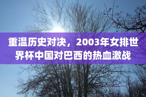 重温洪湖市顺升工程机械租赁有限公司历史对决，2003年女排世界杯中国对巴西的热血激战