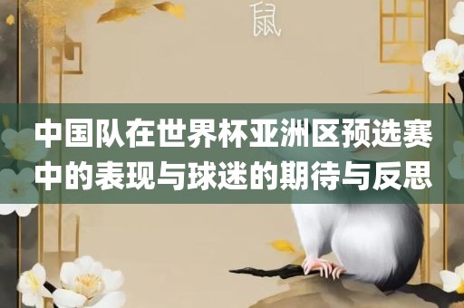 中国队在世界杯亚洲区预选赛中的表现与球迷的期待与反思