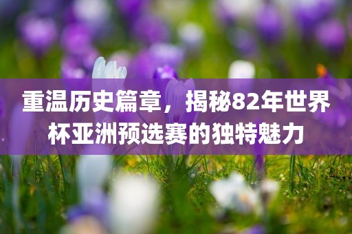 重温历史篇章，揭秘82年世界杯亚洲预选赛的独特魅力洪湖市顺升工程机械租赁有限公司