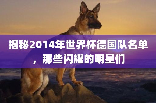 揭秘2014年世界杯德国队名单，那些闪耀的明星们