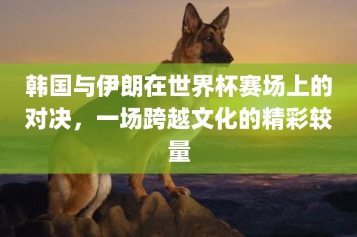 韩国与伊朗在世界杯赛场上的对决，一场跨越文化的精彩较量