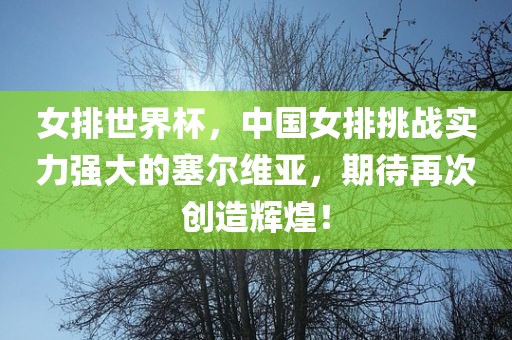 女排世界杯，中国女排挑战实力强大的塞尔维亚，期待再次创造辉煌！洪湖市顺升工程机械租赁有限公司
