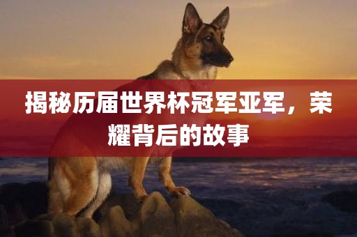 揭秘历届世界杯冠军亚军，荣耀背后的故事洪湖市顺升工程机械租赁有限公司